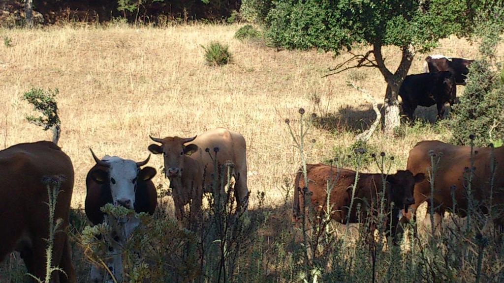 Riserva Del Noce Caltagirone Εξωτερικό φωτογραφία